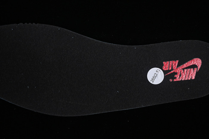 Air Jordan 1 High Element GORE TEX 